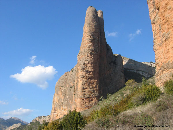 Copie de IMG_7308