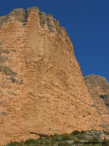 Copie de IMG_7309