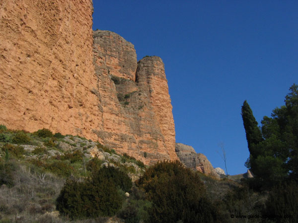 Copie de IMG_7310