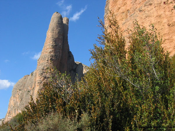 Copie de IMG_7312